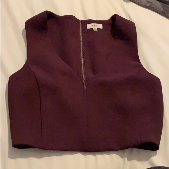 Aritzia (Wilfred) V-Neck Crop Top